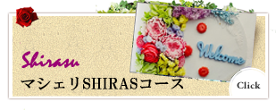 SHIRASコース